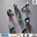 Anping Weihao offer screw/various type self tapping screw